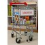 Personalized Kids Shopping Cart